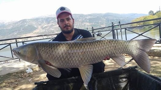 Eρασιτέχνες ψαράδες «έπιασαν» grass carp βάρους 10 κιλών (εικόνες, βίντεο)